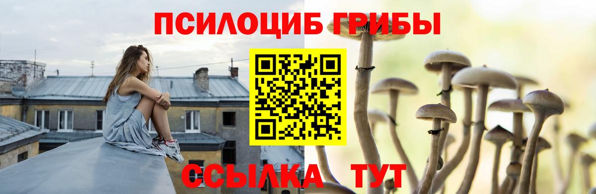 Псилоцибиновые грибы мухоморы  Вход с VPN  Чайковский  Псилоцибиновые грибы GOLDEN TEACHER 